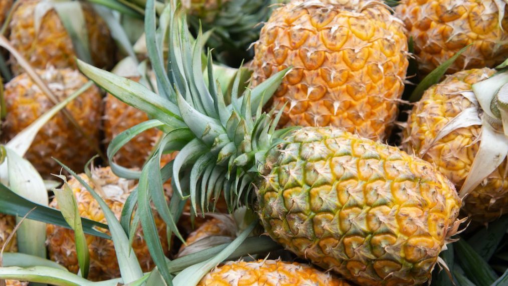 Ananas du Bénin destinés à l'exportation